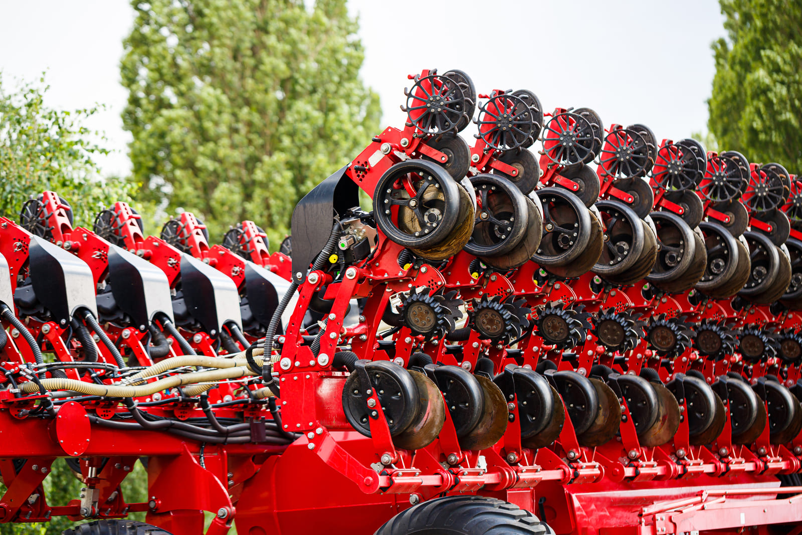 Автор статті